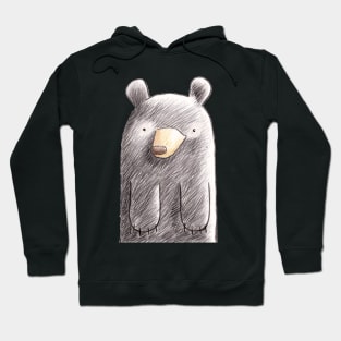 It's a Family of Bears - Black Bear Hoodie